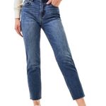 PacSun Vintage Icon Dark Wash Jeans Photo 0