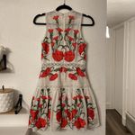 Alexis  Sabella Dress in Blossom Embroidery Size Small Photo 7