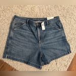 American Eagle Womens Highest Rise '90s Boyfriend Denim Short, size 18/34 Photo 0