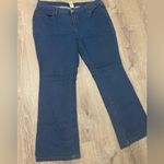 Faded Glory  Medium Wash Plus Size Denim Jeans | Pants Photo 1