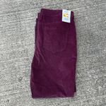 Gloria Vanderbilt  Amanda Purple Corduroy Pants Plum 14 Short NWT Photo 6