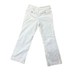 Banana Republic Vintage Y2K Martin Flair Leg Lined Neutral Pant Size 10 Preppy Photo 1