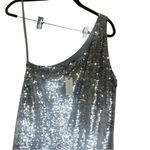 Anthropologie NWT MAEVE  One Shoulder Sequin Ruffle
Maxi Dress Silver XS Photo 5