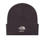 The North Face NWT x Skims Beanie Phoenix Brown in hand ready to ship Photo 3