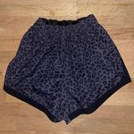 black cheetah/leopard print shorts Size XL Photo 0