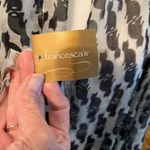 Francesca's Francesca’s NWT large scarf with black cat print. Photo 2