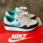 Nike Air Max 1 Premium Dusty Cactus Photo 0