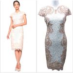 Tadashi Shoji Collette Lace Sheath Dress Ivory & Blush 14 Photo 1