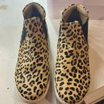 Coconuts Platform Sneaker Photo 1