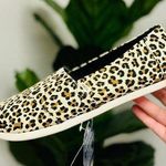 Toms Natural Cheetah Canvas Shoes - New - Size 11 Wide Photo 0
