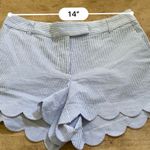 J.Crew  Women’s Blue/White Pinstripe Seersucker‎ Scalloped Short Photo 10