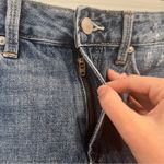 Just Black  Denim JBD Feifer Cat Scratch Short Photo 4