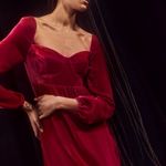 Reformation 💕💕 Chestnut Velvet Babydoll Dress ~ Rhubarb Red 4 NWOT Photo 5