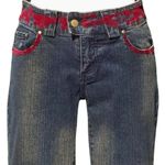 Cache Denim Hand Painted Stretch Jean Pant Velvet Burn Out Flare Leg $158 NWT Photo 3