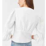 Rebecca Taylor La Vie Leaf Embroidered Cotton Top nwt $195 extra large XL corset Photo 2