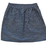 Banana Republic  Navy and White Pinstripe Pleated Skirt Size 0 Blue Stripes Photo 0