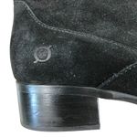 BORN Cricket Over Photo 5