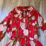 ZARA  Red Floral Ruffle Maxi Dress Size S Photo 3