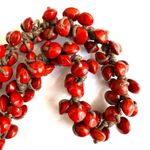 Red/orange seed beaded choker necklace Red Photo 5