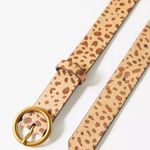 Urban Outfitters Belt Photo 1