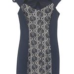 Enfocus Studio Lace Sheath Dress Sz 6 Gothic Nude Illusion Party Cutout Witchy Photo 0