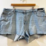 Abercrombie & Fitch Women's Curve Love The Mom High Rise Shorts Size 22 NWT Photo 1