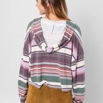 Buckle Fitz + Eddi XS Stripped Crop Hoodie Photo 1