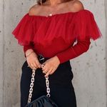 VICI  | Picture Perfect Glam Ribbed Knit Tulle Ruffle Top Photo 0