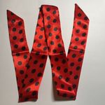 Thin Purse Scarf / Hairband / Scarf Photo 1