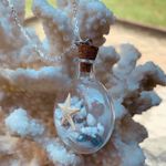 Sweet Lemons Real Miniature Seashells In Glass Bottle Necklace Photo 6