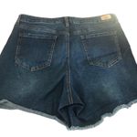 Sofia Vergara  Lila Short 14 Exposed Button~Fly Fringe Hem Distressed Stretch Photo 2