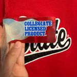 J. America The Ohio State University Hoodie Photo 5