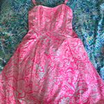 Lilly Pulitzer Blossom Dress Photo 0