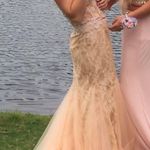 Prom Dress Elegant Nude Gown Tan Size 6 Photo 0