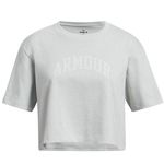 Under Armour Light Gray Crop Top Photo 0