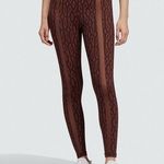 Adidas x Ivy Park Icy Park Monogram Sheer Panel Tights in Wild Brown Photo 0