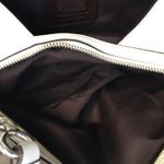 Coach Lexy Floral Pebble Leather Chain Shoulder Bag Purse Cream Flowers Large Photo 4