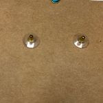 Shiraleah  CHICAGO Fiore Small Black Earrings Dainty Dangle Floral NWT Photo 5