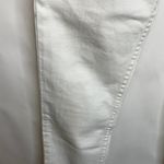 Amuse Society White Skinny Jeans Button Fly Sz 26 Photo 2