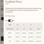 Petal and Pup NWT $89 Scarlette Stretchy Maxi Dress 6 S Photo 4