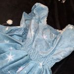 Disney Secret Honey Frozen Anna Elsa Adult Dress Winter Olaf Tagged Photo 7