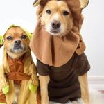 Hooters Bin35#4 New Girl Uniform Tank Top From Clearwater FL Cracking Black XS Photo 7