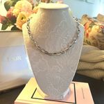 8 Other Reasons NWT Revolve x  Chain Necklace in Silver Photo 1