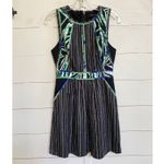 BCBGMAXAZRIA  Christalle Dress Size 2 Sleeveless Mini A-Line Pinstripe Palm Print Photo 3