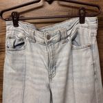 American Eagle  low rise wide leg baggy jeans Photo 1