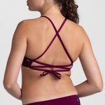 Jolyn Grayson Bikini Top in Cabernet Purple Size Medium Photo 3