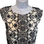 Iris Paisley Print Velvet Burnout Top Peplum Mini Dress Black & White Size L NWO Photo 2