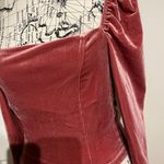 Forever 21 Y2k Velvet Steampunk SQUARE Puffy elastic shoulder long sleeve Victorian Vintage Berry Photo 1