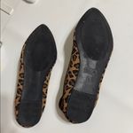 MIA  Women's Brown Leopard Flats Photo 3