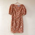 JS Collections Lia Puff Sleeve Midi Formal Dress in Pink Size 10 Photo 1